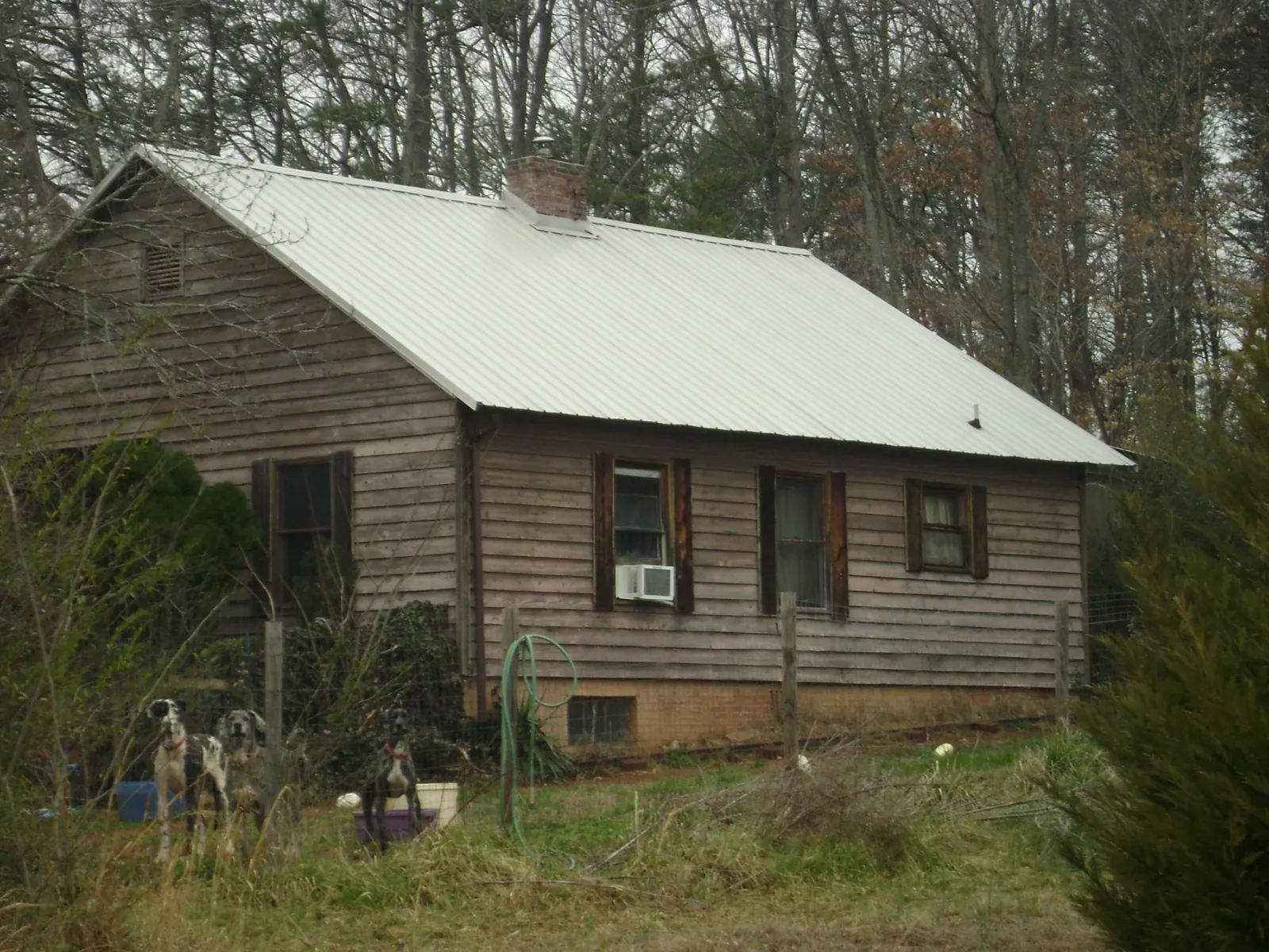 White metal roof on an old wood sided farmhouse, from a Asphalt Shingle Roof Repair job in Widen